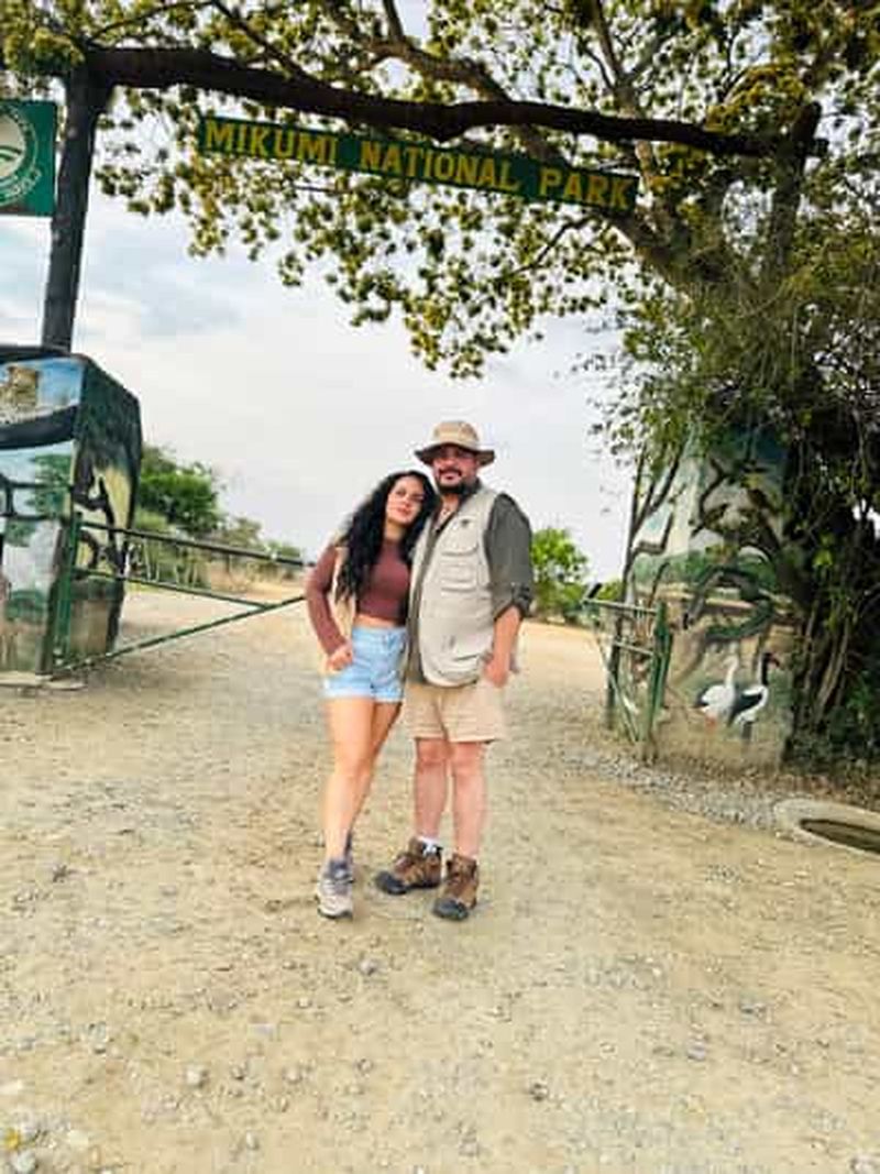 Billet Safari de quatre jours : parcs nationaux de Mikumi et de Nyerere au départ de Dar es-Salaam