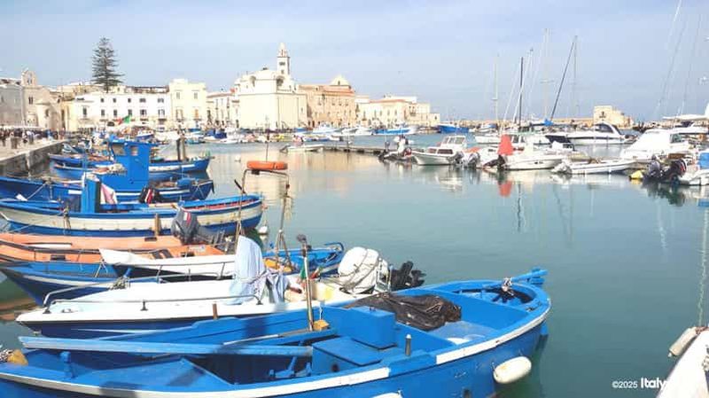 Billet Lecce : visite exclusive d'une journée à Trani et Castel del Monte