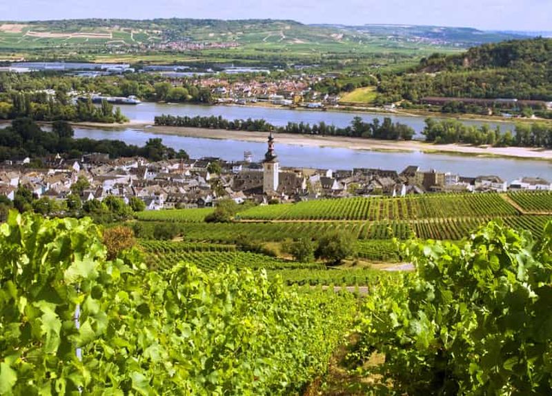 Billet Dégustez du vin le long du Rhin - Journée œnologique au départ de Francfort