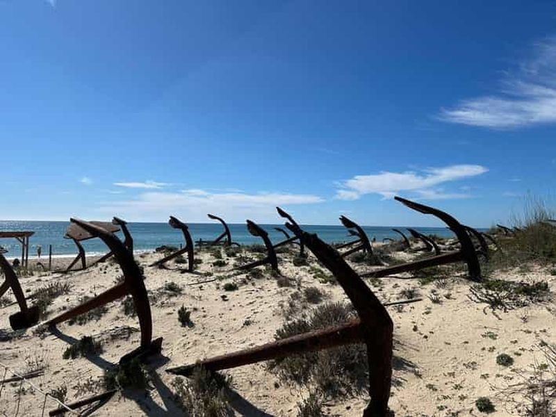 Billet Visite de Tavira à Olhao aller retour en vélo