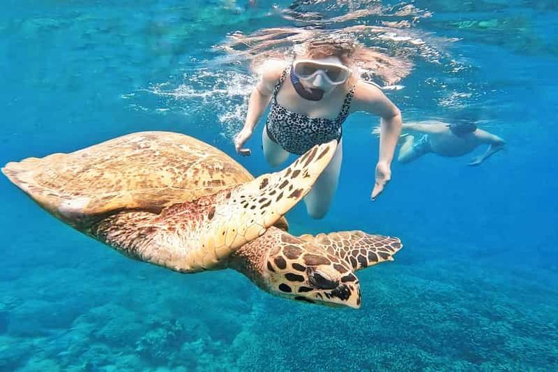 Billet 5 îles Gilis secrètes exclusives : plongée avec tuba et circuit dans les îles