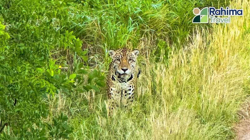 Billet Expédition ANMI Kaa Iya du Gran Chaco