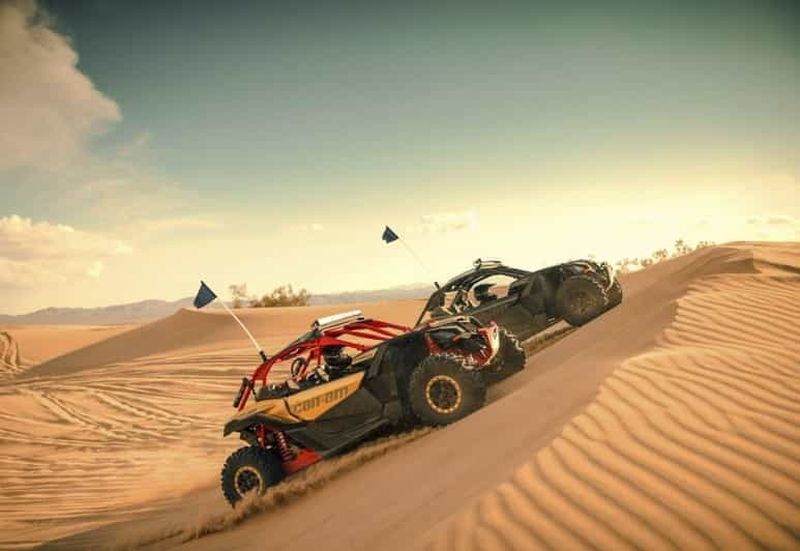 Billet Dubaï : Red Dunes Quad Bike, Dune Buggy, Camel & Refreshments (en anglais)