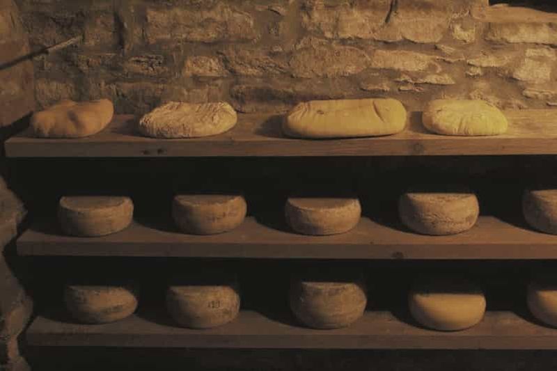 Billet Visite de dégustation de fromages et de vins en Alta Langa