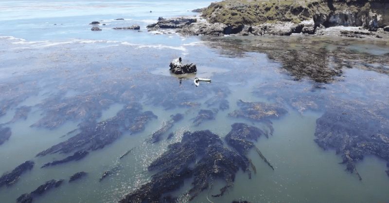 Billet Redondo Beach : aventure en kayak avec la star de la télévision Gary Golding