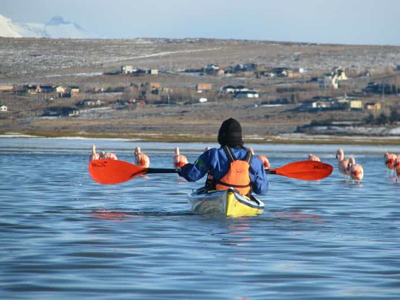 Billet Calafate : kayak sur le lac Argentino avec transferts