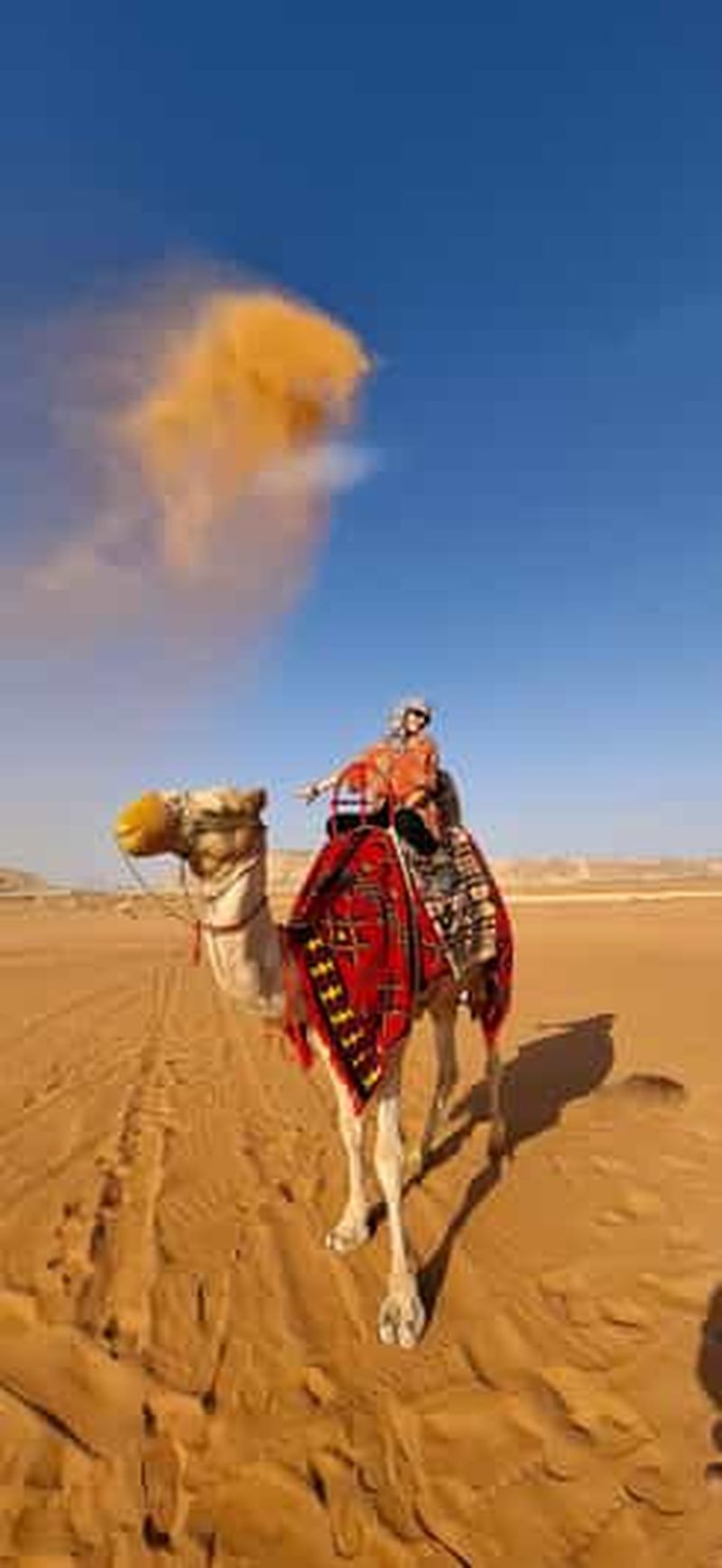 Billet Riyad : dunes de sable (balade à dos de chameau et quad)