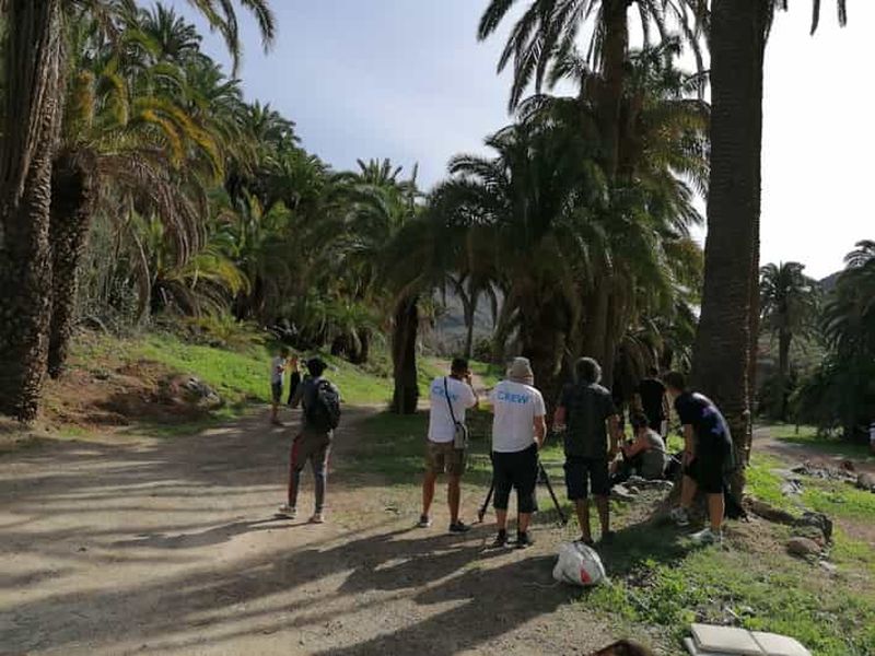 Billet Gran Canaria : Balade à dos de chameau au Camel Safari Park