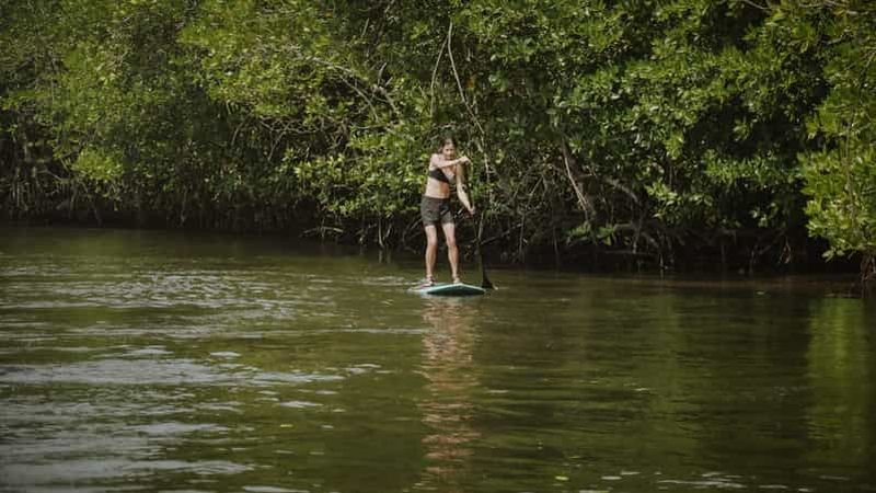 Billet Nusa Lembongan : aventure en kayak ou en paddleboard dans la mangrove