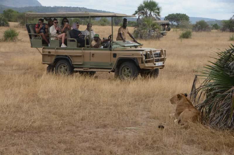 Billet Excursion d'une journée à Zanzibar vers le parc national de Nyerere/Selous par avion