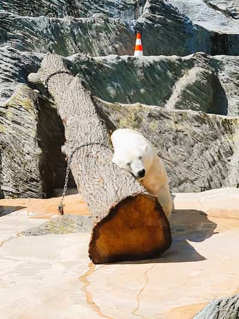 Billet Prague : L'audioguide du zoo de Prague avec billet électronique