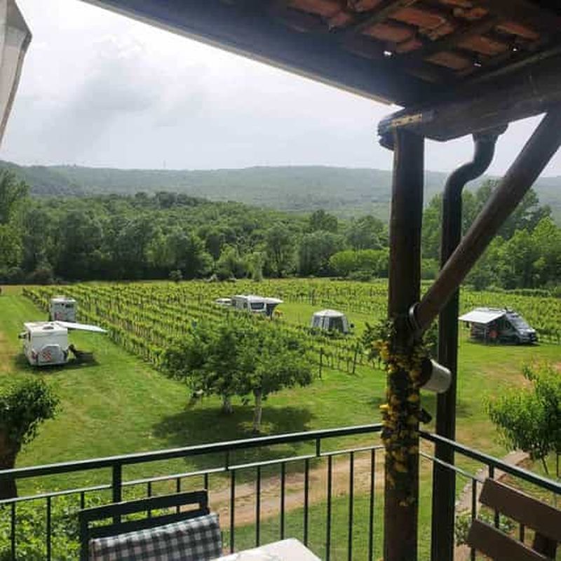 Billet Podgorica : dégustation de vins panoramique et collation