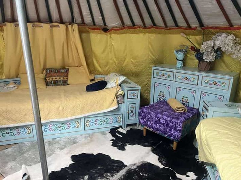 Billet Excursion hivernale : Khustai et parc national de Terelj (2 jours)