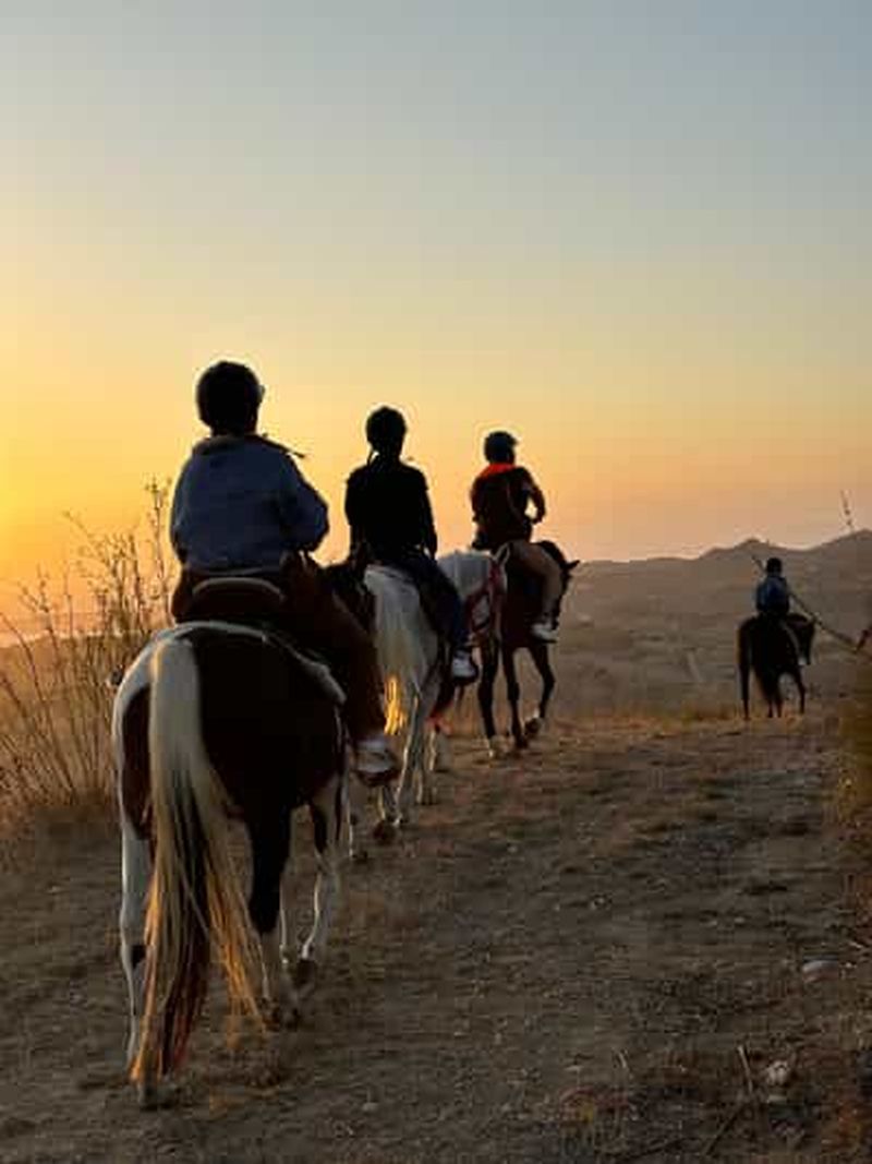 Billet Expérience romantique avec des chevaux dans la réserve naturelle WWF