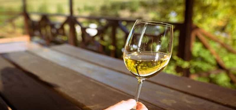 Billet Jardins botaniques de Kirstenbosch et dégustation de vins de Constantia