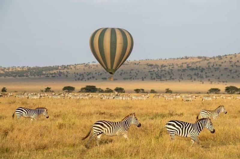 Billet Serengeti : Safari en montgolfière avec petit-déjeuner et champagne