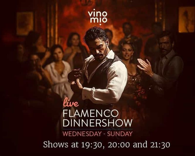 Billet Malaga : dîner-spectacle de flamenco authentique au restaurant VinoMio