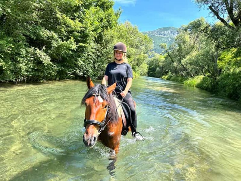 Billet Dubrovnik : promenade à cheval avec traversée de rivière et collations