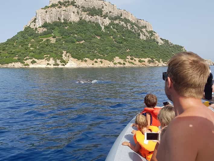 Billet Dauphins : Visite guidée des dauphins et du Cap Figari en radeau