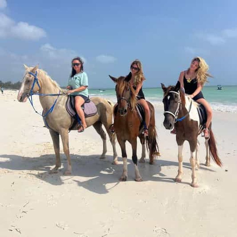 Billet Zanzibar : équitation et baignade avec prise en charge