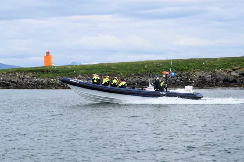Billet Reykjavik : Observation des macareux en bateau rapide RIB
