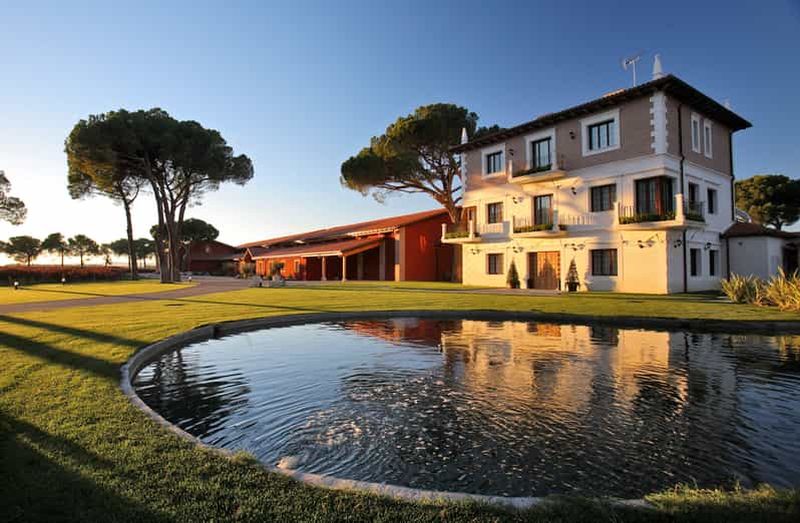 Billet Ribera del Duero : visite de vignoble et dégustation de vin