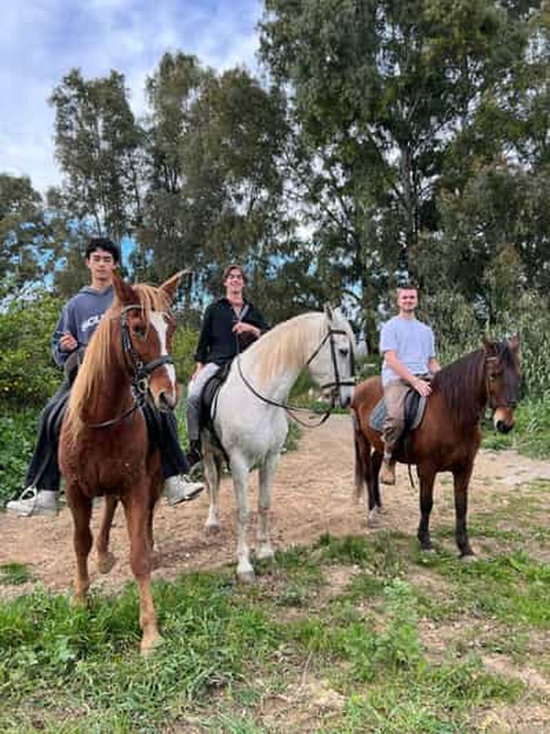 Billet Visite guidée à cheval de la vallée du Guadalhorce