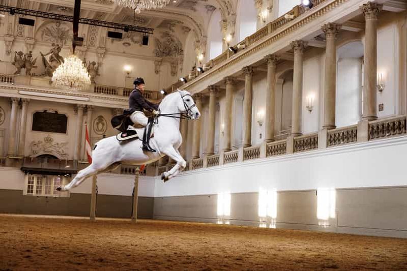 Billet Performance des Lipizzans à l'école d'équitation espagnole