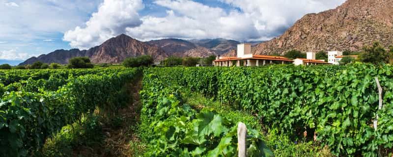 Billet 4 jours à Salta : vallée de Humahuaca et vignobles de Cafayate