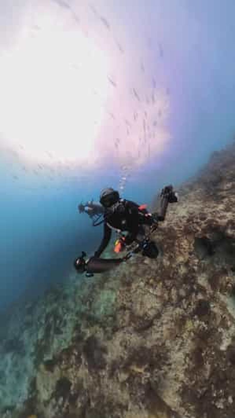 Billet Cours de photographie sous-marine