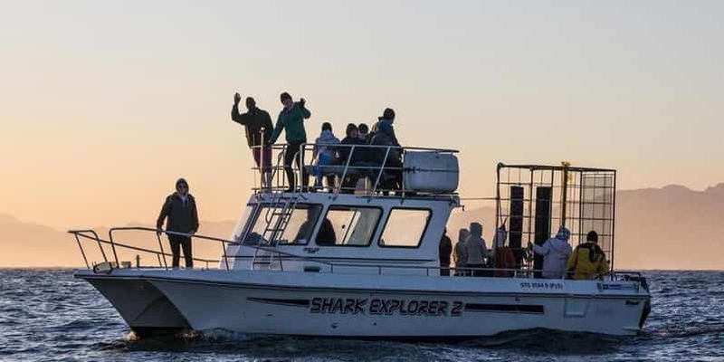 Billet Simon's Town : expérience de plongée en cage avec les requins d'une demi-journée