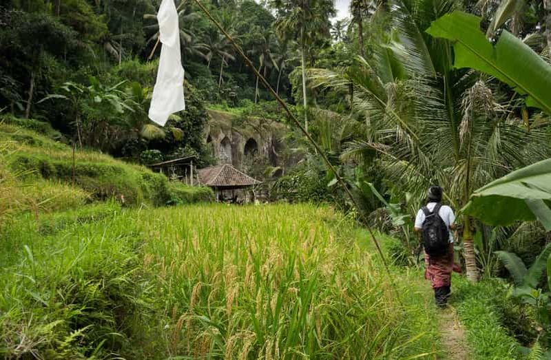 Billet Bali : Visite à pied culturelle des sites de l'UNESCO (6 heures)