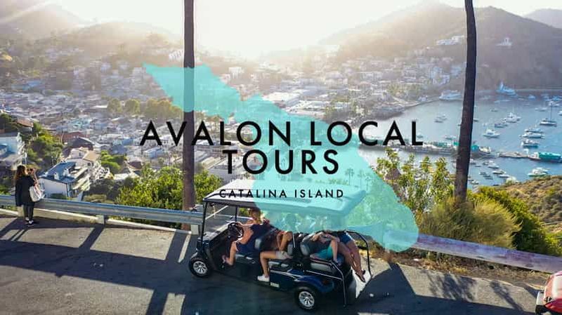 Billet Avalon : Visite privée en voiturette de golf avec chauffeur-guide