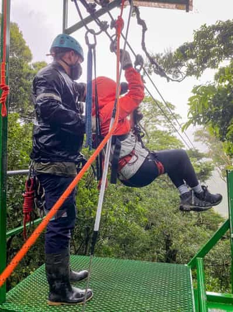 Billet Zanzibar : aventure dans la forêt de Masingini, singes et tyrolienne