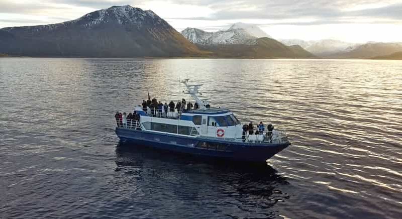 Billet Depuis Tromsø : safari baleines et orques avec Polar Adventures