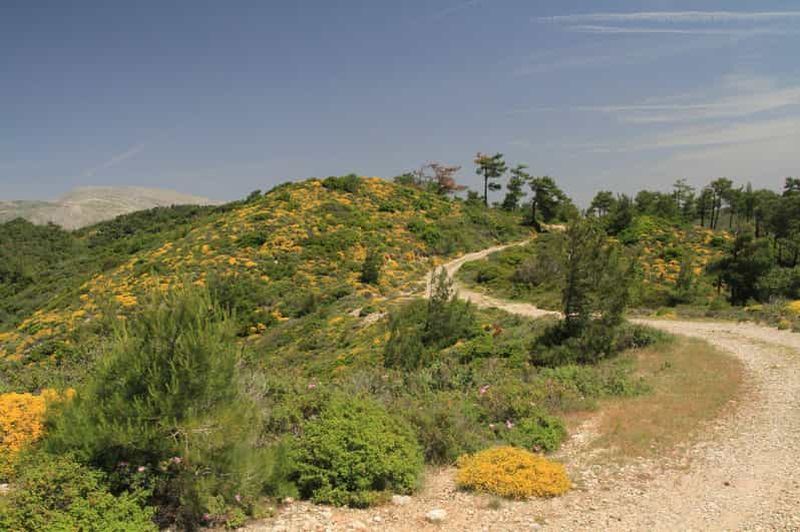 Billet Rhodes : Safari avec chauffeur expérimenté - ramassage dans le sud