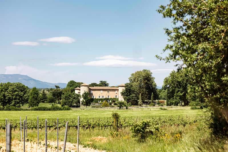 Billet Ardèche : visite guidée de notre domaine viticole avec dégustation
