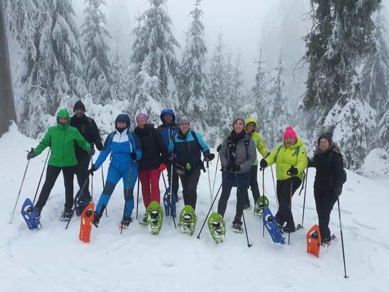 Billet Fichtelgebirge : randonnée en raquettes