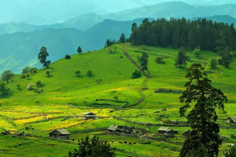 Billet Borjomi : excursion privée à cheval au lac Kakhisi