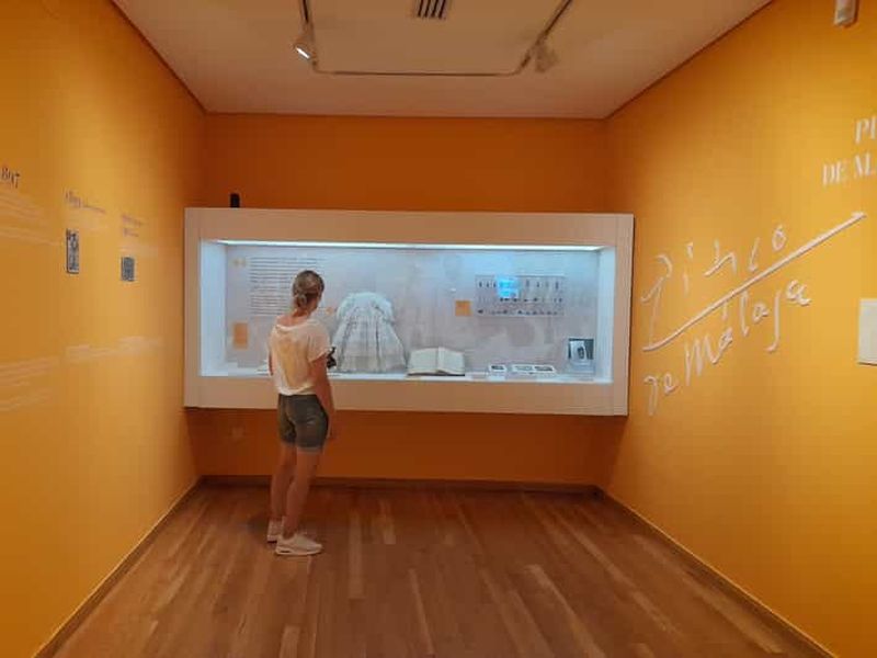Billet Malaga : billet d'entrée au musée de la maison natale de Picasso