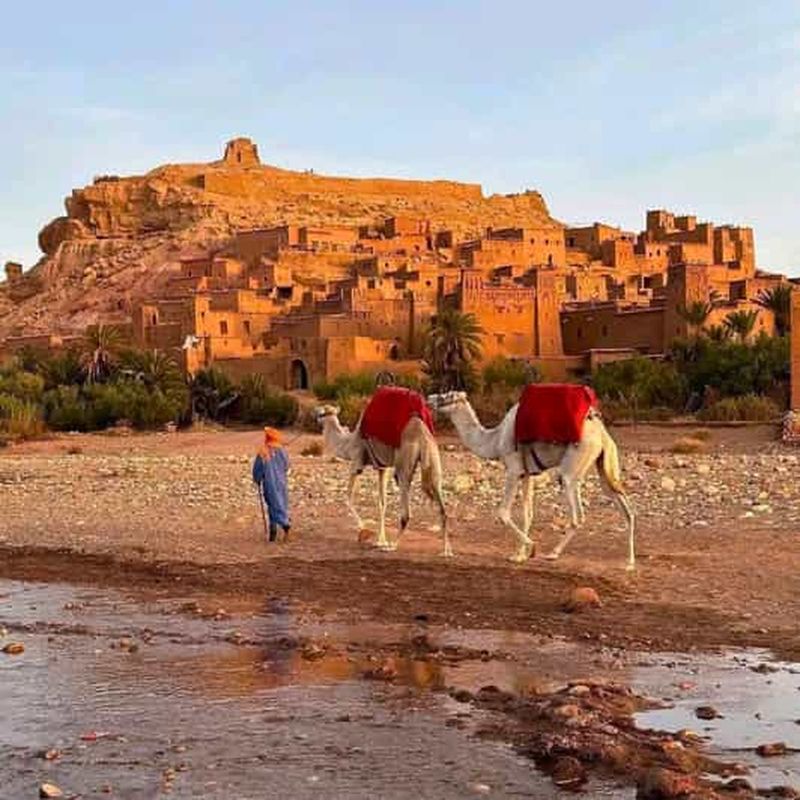 Billet Au départ de Marrakech : Excursion privée d'une journée à Telouet et Aït-ben-Haddou