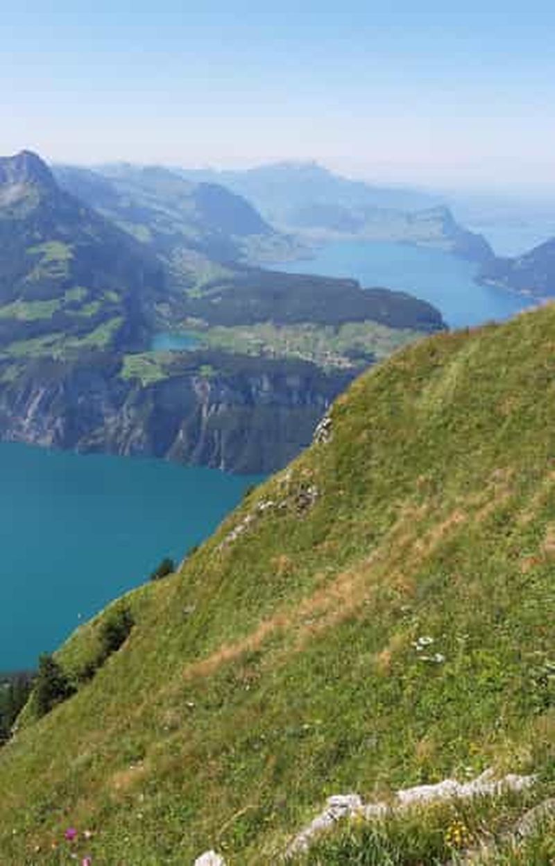 Billet Lucerne : randonnée guidée d'une journée sur la crête de Lucerne avec vue sur le lac