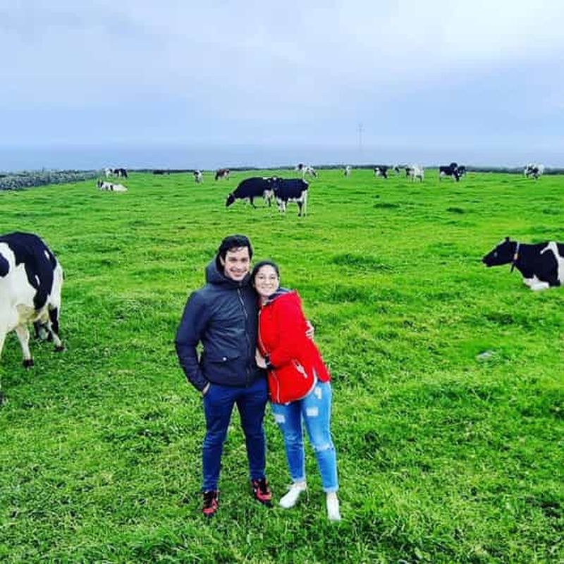 Billet Visite de l'île en van (journée complète) | Île de Terceira