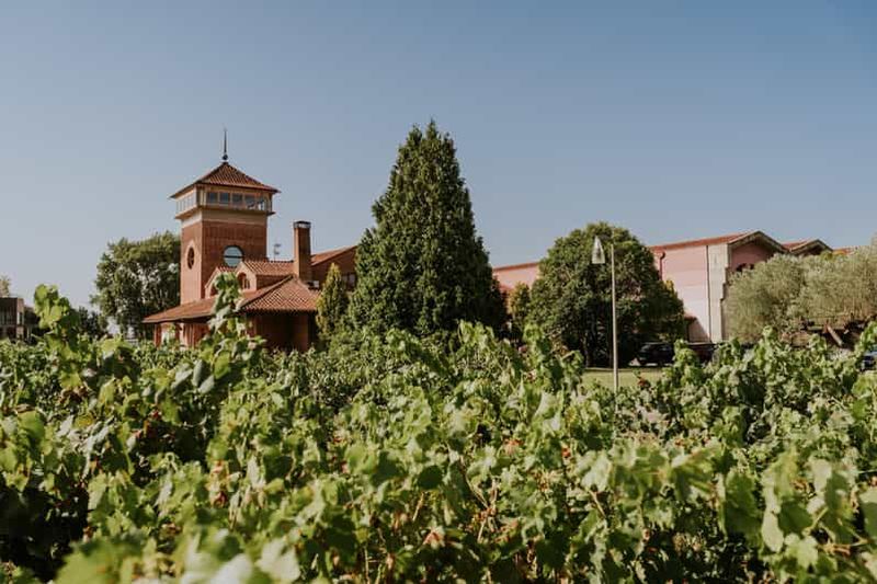 Billet Logroño : visite guidée et dégustation de 3 vins à Viña Ijalba