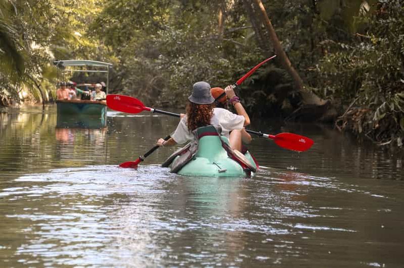 Billet Quepos : Excursion en kayak dans les mangroves près du parc Manuel Antonio