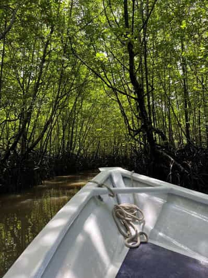 Billet Croisière dans la mangrove du géoparc UNESCO de Langkawi