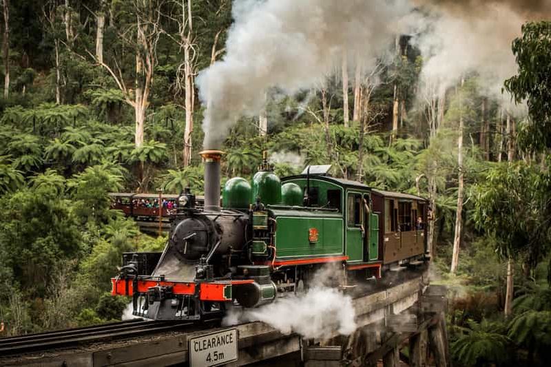 Billet Melbourne : visite privative du zoo et du train Puffing Billy