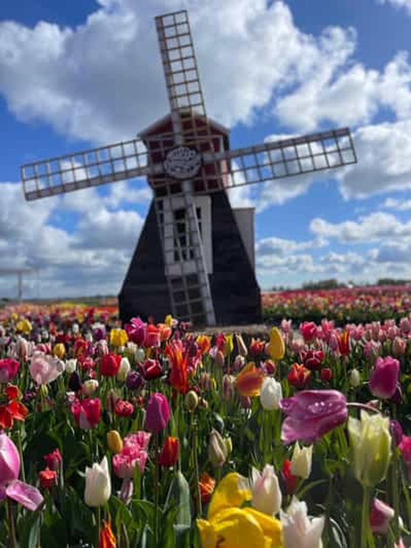 Billet Amsterdam : Keukenhof, champs, fromage et nature