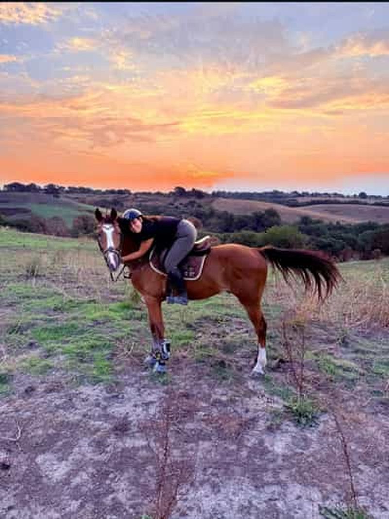 Billet Rome : Lac de Martignano Promenade à cheval dans un domaine privé