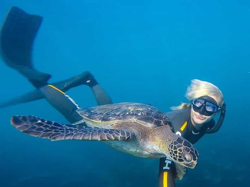 Billet San Diego : Visite guidée de La Jolla Cove avec plongée en apnée